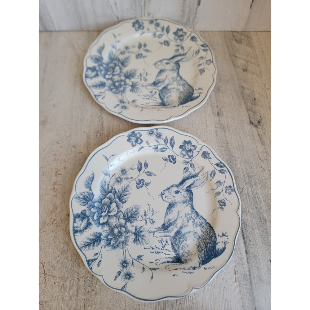 Maxcera blue design‎ Easter bunny plate set rabbit spring kitchen home decor
